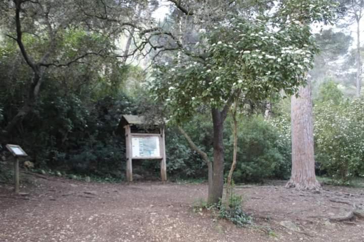 شقة Casa Rural Ca Xelo Polinya de Xuquer المظهر الخارجي الصورة